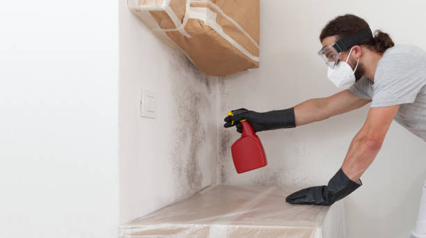 Professional Attic Mold Remediation technician working in Mount Airy, GA
