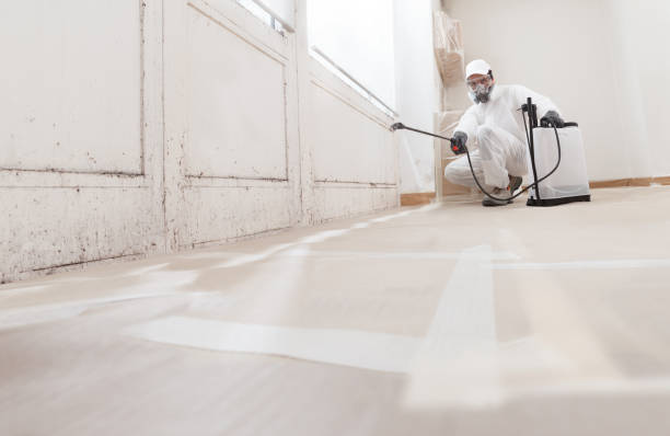 24/7 Emergency Attic Mold Remediation experts in Mount Airy, GA